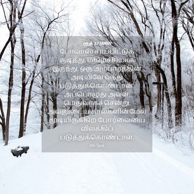 Picture 04 - ரூத் 3:7 TAMIRV - போவாஸ் - Bible Verse Picture