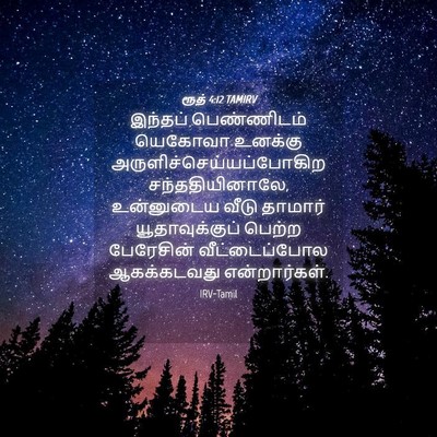 Picture 04 - ரூத் 4:12 TAMIRV - இந்தப் பெண்ணிடம் - Bible Verse Picture