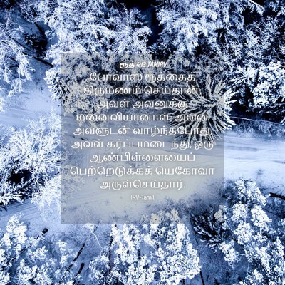 Picture 04 - ரூத் 4:13 TAMIRV - போவாஸ் ரூத்தைத் - Bible Verse Picture