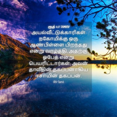 Picture 04 - ரூத் 4:17 TAMIRV -  - Bible Verse Picture