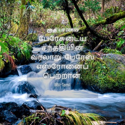 Picture 04 - ரூத் 4:18 TAMIRV - பேரேசுடைய - Bible Verse Picture