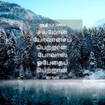 Picture 04 - ரூத் 4:21 TAMIRV - சல்மோன் போவாசைப் - Bible Verse Picture