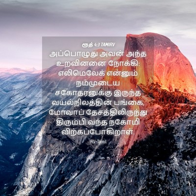 Picture 04 - ரூத் 4:3 TAMIRV - அப்பொழுது அவன் - Bible Verse Picture
