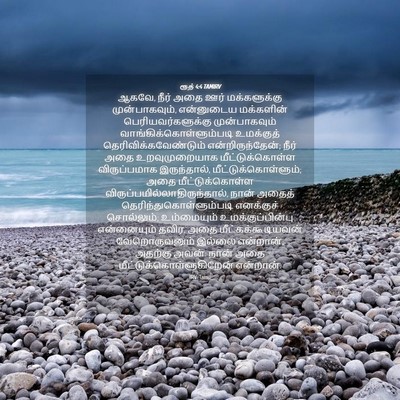 Picture 04 - ரூத் 4:4 TAMIRV - ஆகவே, நீர் அதை ஊர் - Bible Verse Picture