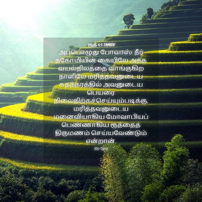 Picture 04 - ரூத் 4:5 TAMIRV - அப்பொழுது போவாஸ்: - Bible Verse Picture