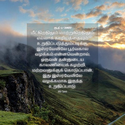 Picture 04 - ரூத் 4:7 TAMIRV - மீட்கிறதிலும் - Bible Verse Picture