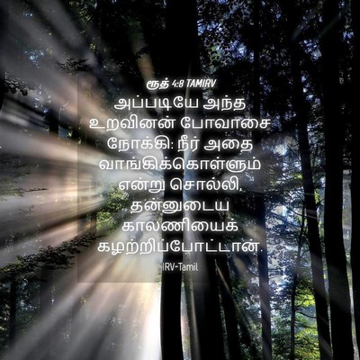 Picture 04 - ரூத் 4:8 TAMIRV - அப்படியே அந்த - Bible Verse Picture