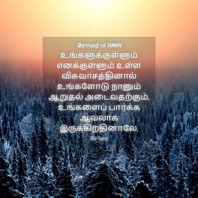 Picture 04 - ரோமர் 1:11 TAMIRV - உங்களுக்குள்ளும் - Bible Verse Picture