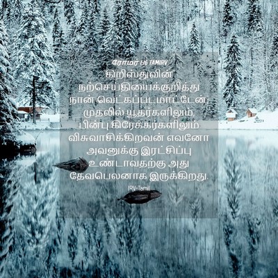 Picture 04 - ரோமர் 1:16 TAMIRV - கிறிஸ்துவின் - Bible Verse Picture