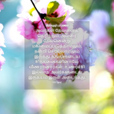 Picture 04 - ரோமர் 1:21 TAMIRV - அவர்கள் தேவனைத் - Bible Verse Picture