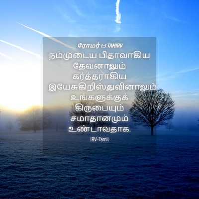 Picture 04 - ரோமர் 1:3 TAMIRV - நம்முடைய - Bible Verse Picture