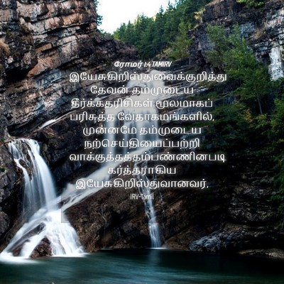 Picture 04 - ரோமர் 1:4 TAMIRV -  - Bible Verse Picture