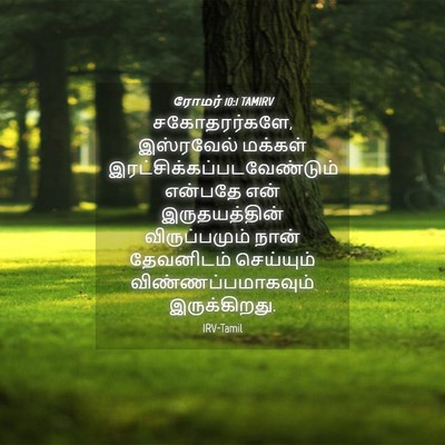 Picture 04 - ரோமர் 10:1 TAMIRV - சகோதரர்களே, - Bible Verse Picture