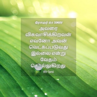 Picture 04 - ரோமர் 10:11 TAMIRV - அவரை - Bible Verse Picture