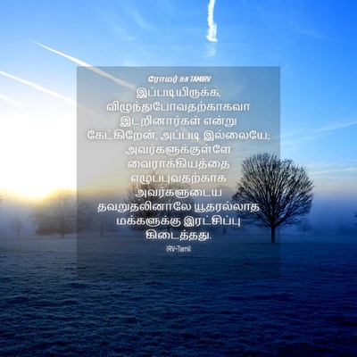 Picture 04 - ரோமர் 11:11 TAMIRV - இப்படியிருக்க, - Bible Verse Picture