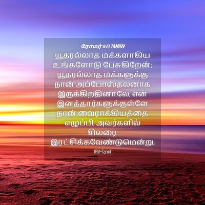 Picture 04 - ரோமர் 11:13 TAMIRV - யூதரல்லாத - Bible Verse Picture