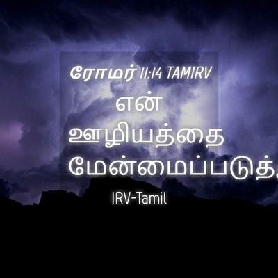 Picture 04 - ரோமர் 11:14 TAMIRV - என் ஊழியத்தை - Bible Verse Picture