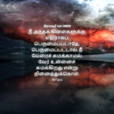 Picture 04 - ரோமர் 11:18 TAMIRV - நீ அந்தக் - Bible Verse Picture