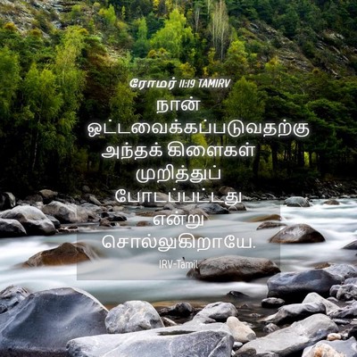 Picture 04 - ரோமர் 11:19 TAMIRV - நான் - Bible Verse Picture