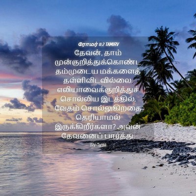 Picture 04 - ரோமர் 11:2 TAMIRV - தேவன், தாம் - Bible Verse Picture