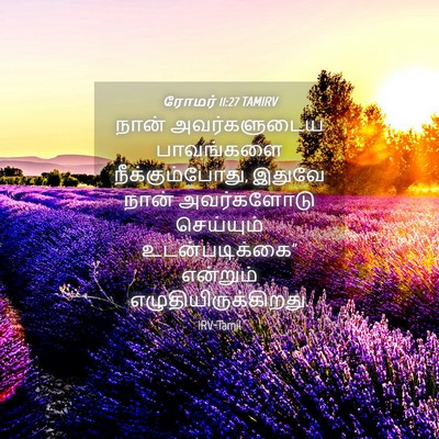 Picture 04 - ரோமர் 11:27 TAMIRV - நான் அவர்களுடைய - Bible Verse Picture