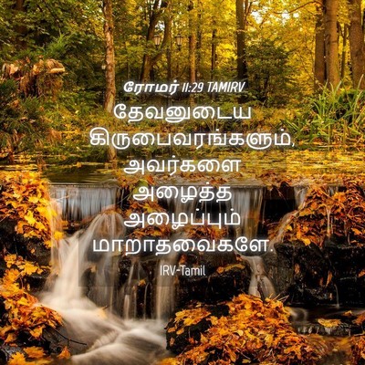 Picture 04 - ரோமர் 11:29 TAMIRV - தேவனுடைய - Bible Verse Picture