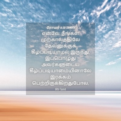 Picture 04 - ரோமர் 11:30 TAMIRV - எனவே, நீங்கள் - Bible Verse Picture