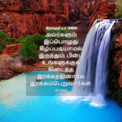 Picture 04 - ரோமர் 11:31 TAMIRV - அவர்களும் - Bible Verse Picture