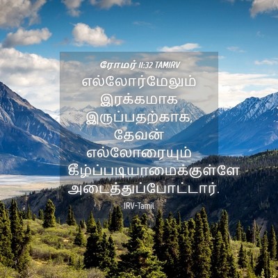 Picture 04 - ரோமர் 11:32 TAMIRV - எல்லோர்மேலும் - Bible Verse Picture