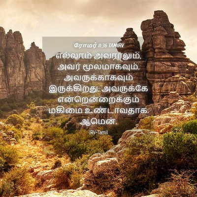 Picture 04 - ரோமர் 11:36 TAMIRV - எல்லாம் அவராலும், - Bible Verse Picture