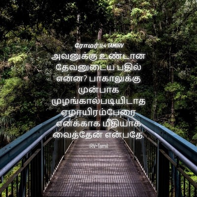 Picture 04 - ரோமர் 11:4 TAMIRV - அவனுக்கு உண்டான - Bible Verse Picture