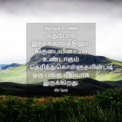 Picture 04 - ரோமர் 11:5 TAMIRV - அதுபோல - Bible Verse Picture