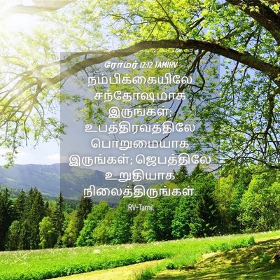 Picture 04 - ரோமர் 12:12 TAMIRV - நம்பிக்கையிலே - Bible Verse Picture