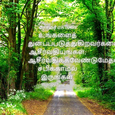 Picture 04 - ரோமர் 12:14 TAMIRV - உங்களைத் - Bible Verse Picture