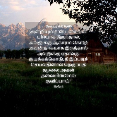 Picture 04 - ரோமர் 12:20 TAMIRV - அன்றியும், உன் - Bible Verse Picture