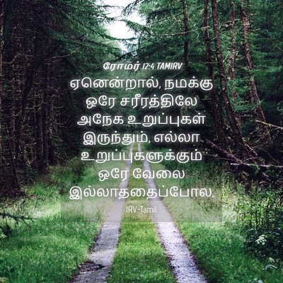 Picture 04 - ரோமர் 12:4 TAMIRV - ஏனென்றால், நமக்கு - Bible Verse Picture