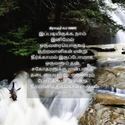 Picture 04 - ரோமர் 14:13 TAMIRV - இப்படியிருக்க, - Bible Verse Picture