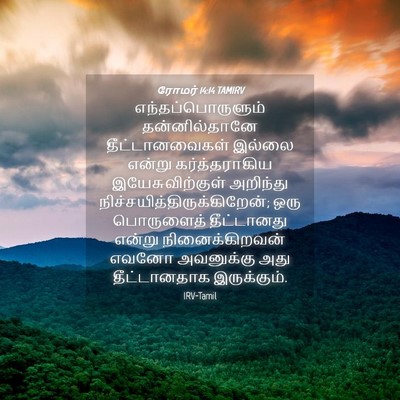 Picture 04 - ரோமர் 14:14 TAMIRV - எந்தப்பொருளும் - Bible Verse Picture