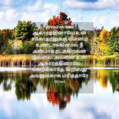 Picture 04 - ரோமர் 14:15 TAMIRV - ஆகாரத்தினாலே உன் - Bible Verse Picture