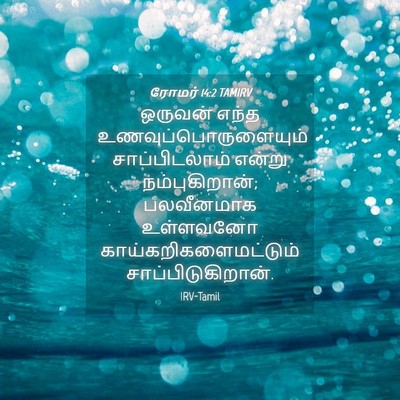 Picture 04 - ரோமர் 14:2 TAMIRV - ஒருவன் எந்த - Bible Verse Picture
