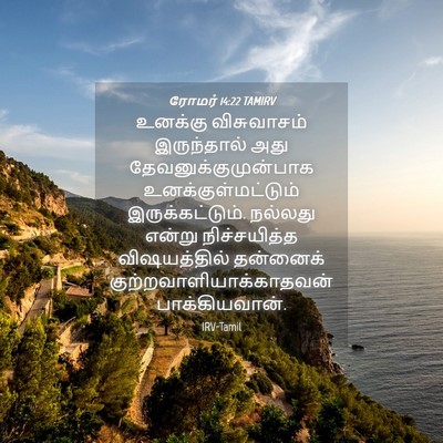Picture 04 - ரோமர் 14:22 TAMIRV - உனக்கு விசுவாசம் - Bible Verse Picture