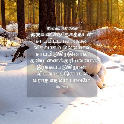 Picture 04 - ரோமர் 14:23 TAMIRV - ஒருவன் - Bible Verse Picture