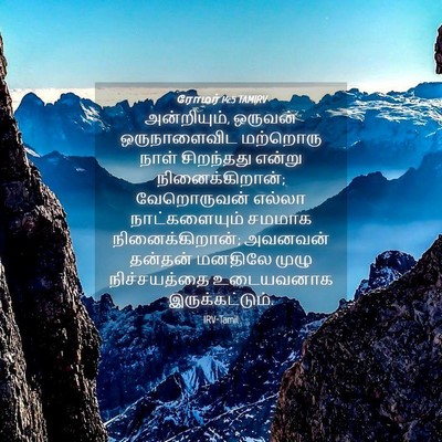 Picture 04 - ரோமர் 14:5 TAMIRV - அன்றியும், ஒருவன் - Bible Verse Picture