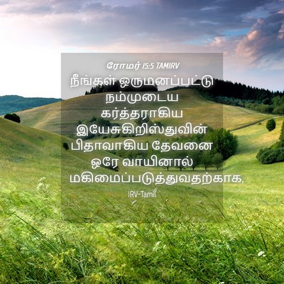 Picture 04 - ரோமர் 15:5 TAMIRV - நீங்கள் - Bible Verse Picture
