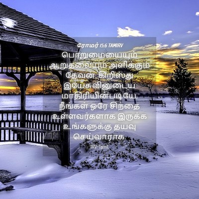 Picture 04 - ரோமர் 15:6 TAMIRV - பொறுமையையும் - Bible Verse Picture