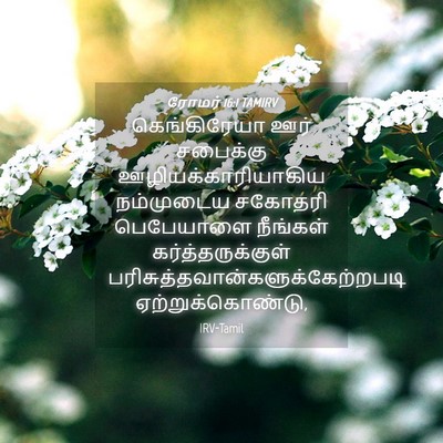 Picture 04 - ரோமர் 16:1 TAMIRV - கெங்கிரேயா ஊர் - Bible Verse Picture
