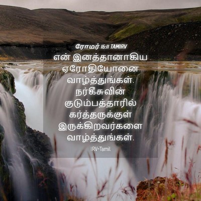 Picture 04 - ரோமர் 16:11 TAMIRV - என் இனத்தானாகிய - Bible Verse Picture