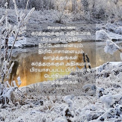 Picture 04 - ரோமர் 16:12 TAMIRV - கர்த்தருக்குள் - Bible Verse Picture