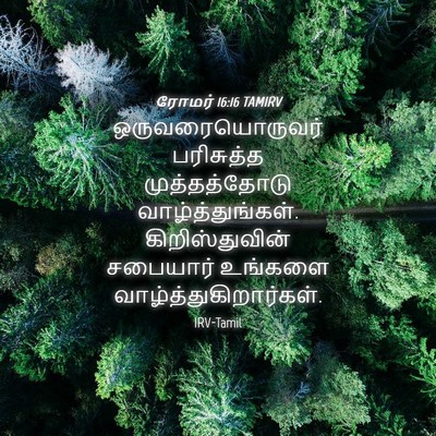 Picture 04 - ரோமர் 16:16 TAMIRV - ஒருவரையொருவர் - Bible Verse Picture