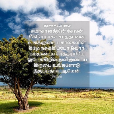 Picture 04 - ரோமர் 16:20 TAMIRV - சமாதானத்தின் - Bible Verse Picture
